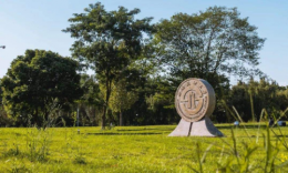 西南財(cái)經(jīng)大學(xué)2020年MBA招生簡(jiǎn)章