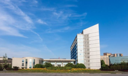 四川農(nóng)業(yè)大學商旅學院2023MPAcc/MTA復試細則